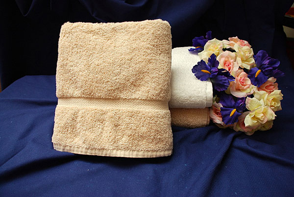 WestPoint Hospitality Martex Sovereign Dobby Border Bath Towel, 27